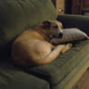 Meet your Posher, Cally